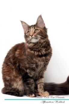 maine coon cat affirmations workbook maine coon cat presents-9781526971081