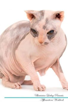 ukrainian levkoy affirmations workbook ukrainian levkoy presents-9781526977281