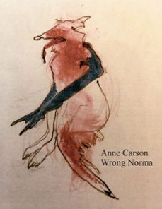 -anne carson-9781529919981