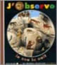 j observe le zoo la nuit-9782070543281