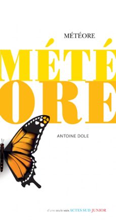 meteore (ebook)-antoine dole-9782330130381