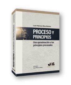 proceso y principios-luis patricio rios muñoz-9788412252781
