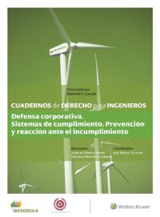 cuadernos de derecho para ingenieros (n.º 53)-jaime de rabago marin-santiago martinez garrido-jose miguel alcolea-9788418349881