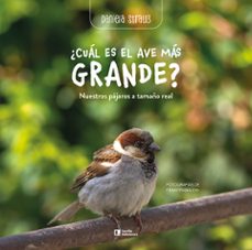 -daniela straub-9788418735981