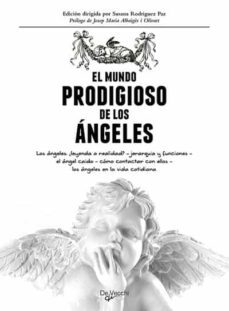 el mundo prodigioso de los angeles (ebook)-susana rodriguez paz-9788431551681