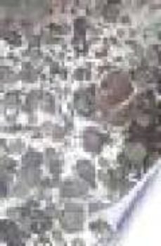 el libro antiguo español, v: el escrito en el siglo de oro (pract icas y representaciones)-pedro manuel catedra garcia-javier guijarro ceballos-9788474819281