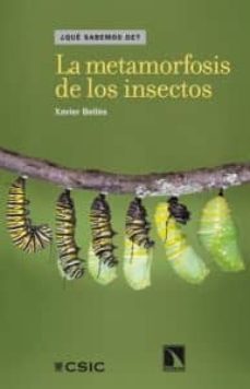 la metamorfosis de los insectos-9788483197981