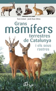 grans mamifers terrestres de catalunya i els seus rastres-9788490347881