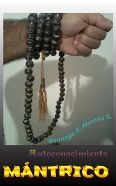 -domingo a. montes g.-9798231115181