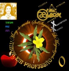 mery-a-moda solseguindo limagnetizado (ebook)-melkyzedek siqueira césar-9798306385181