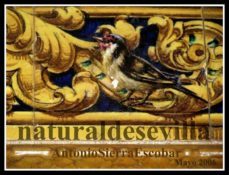 cuentos del pumarejo (ebook)-cdlap00001581