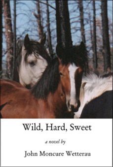 wild, hard, sweet-john moncure wetterau-9781301409891