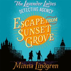 -minna lindgren-9781509844791