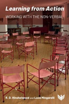 learning from action (ebook)-9781800130791