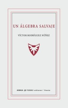 un algebra salvaje-victor rodriguez nuñez-9788412794991