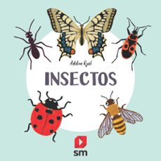 coleccion naturaleza :insectos-adeline ruel-9788413188591