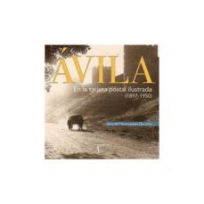 avila: en la tarjeta postal ilustrada (1897-1950)-jesus maria sanchidrian gallego-9788415801191