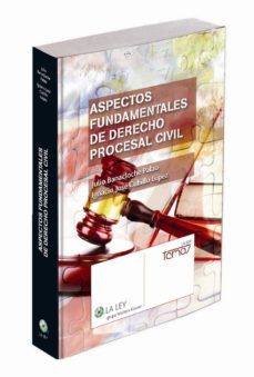 aspectos fundamentales del derecho procesal civil-9788490201091