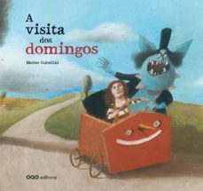 a visita dos domingos (gallego)-matteo gubellini-9788498713091