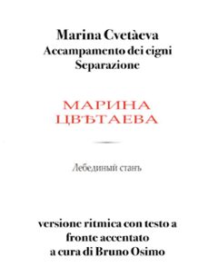 accampamento dei cigni - separazione (ebook)-9791281358591