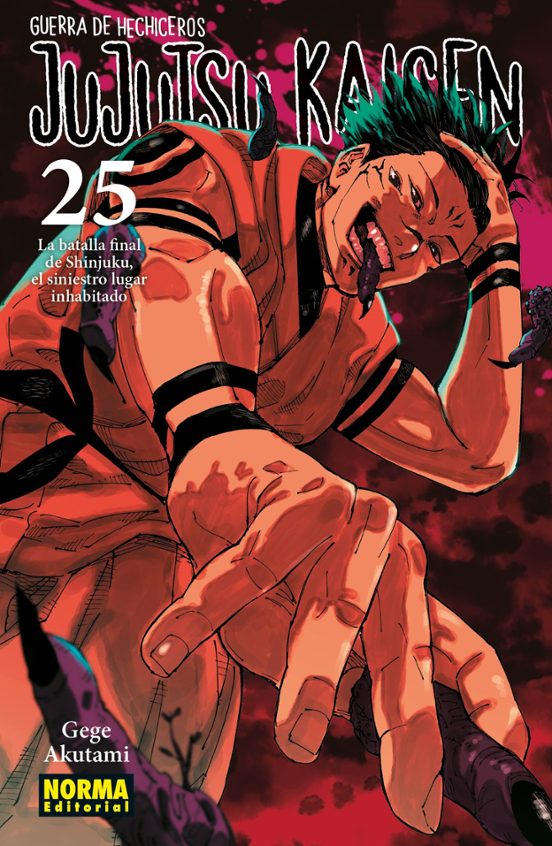 JUJUTSU KAISEN NORMA #25