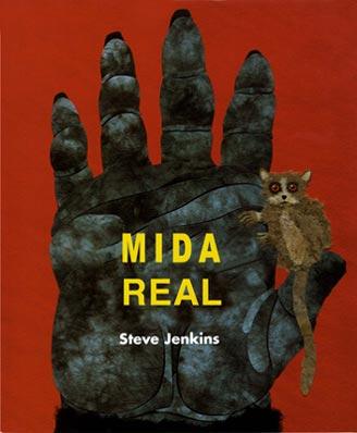 Mida Real por Steve Jenkins