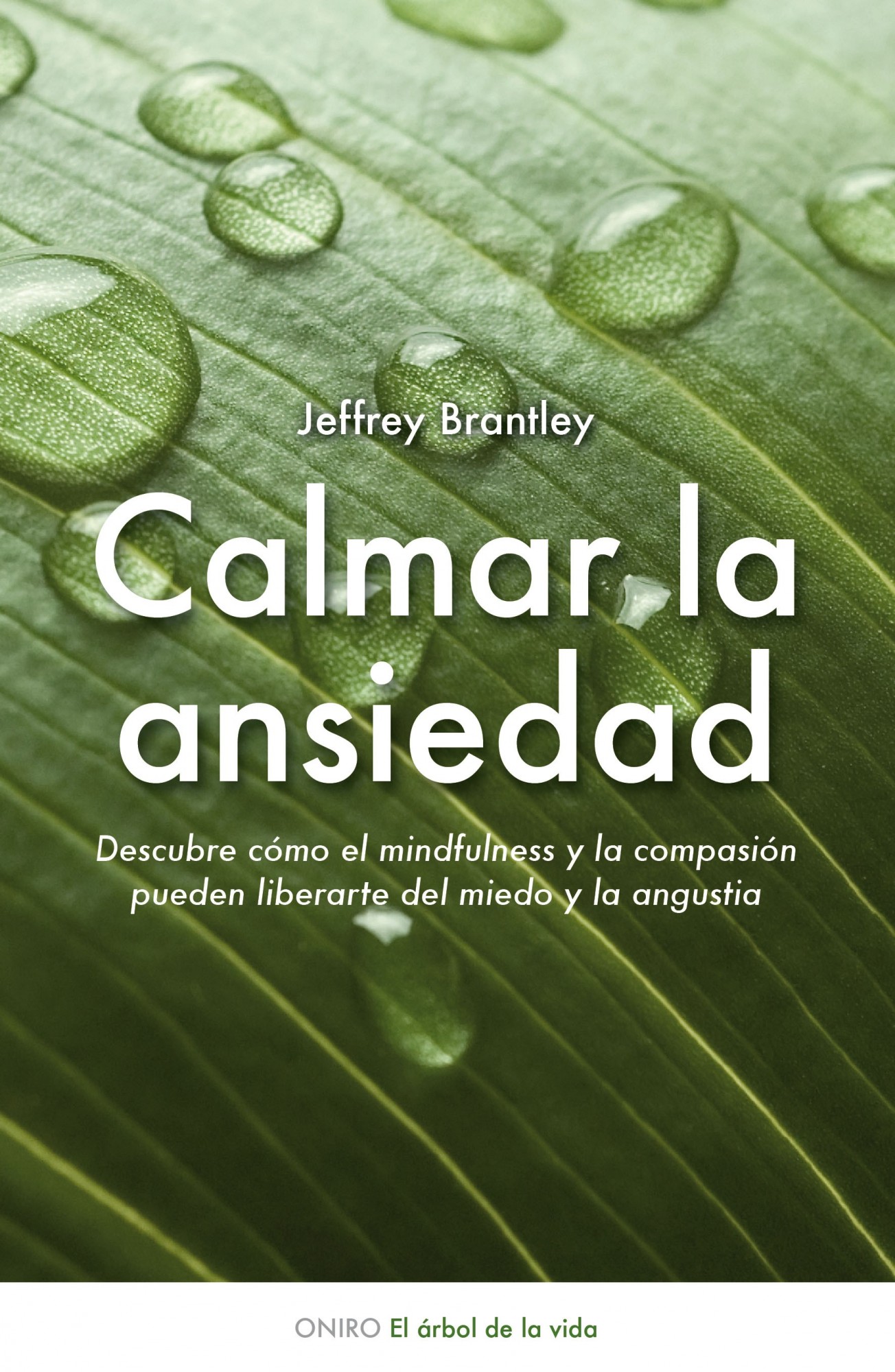 CALMAR LA ANSIEDAD: DESCUBRE COMO EL MINDFULNESS PUEDE LIBERARTE DEL