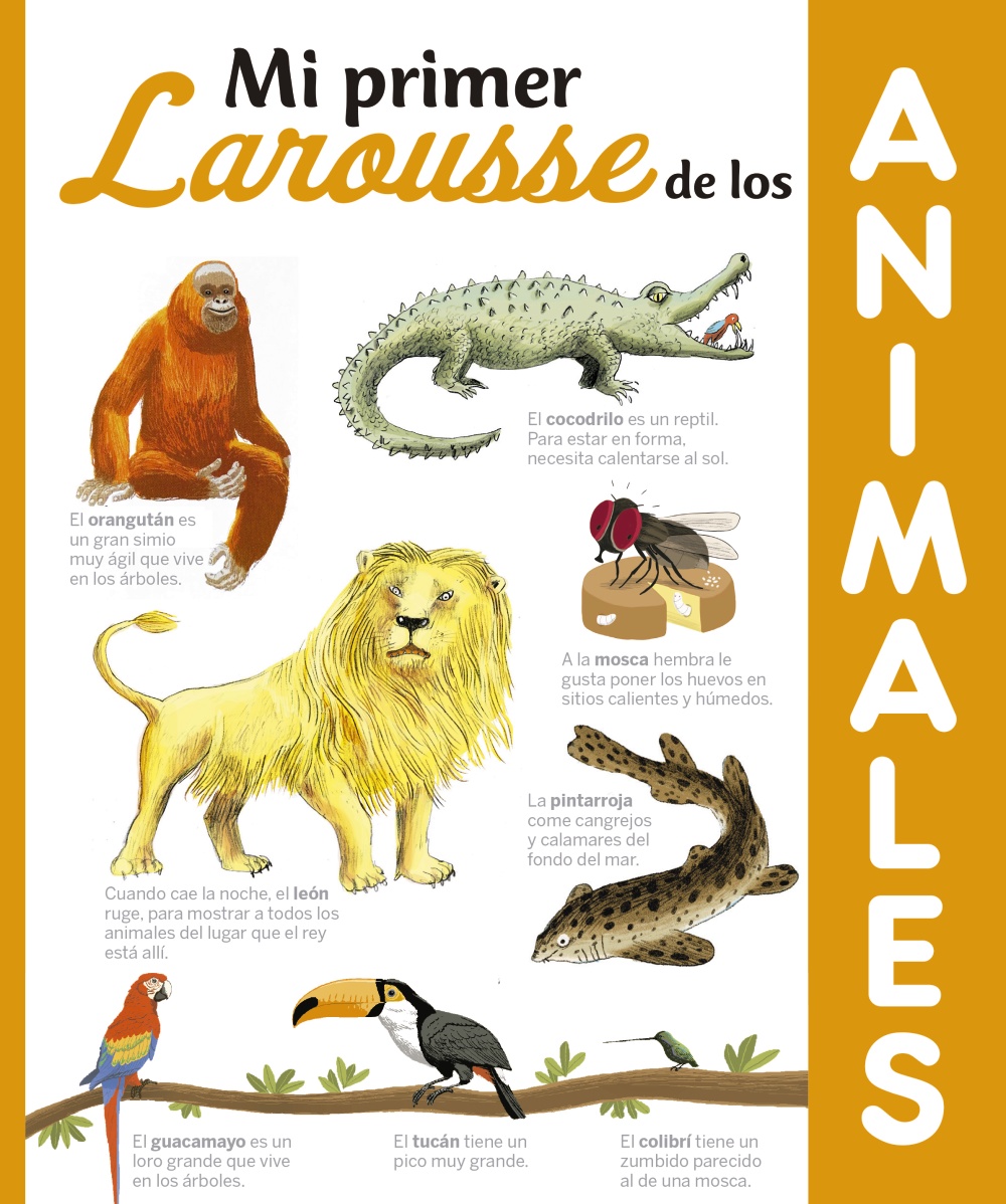 Mi Primer Larousse De Los Animales (2ª Ed.) por Vv.aa.