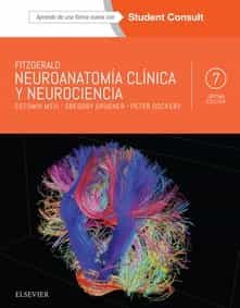 Fitzgerald. Neuroanatomía Clínica Y Neurociencia (7ª Ed.) por E. Mtui