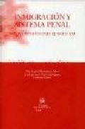 Inmigracion Y Sistema Penal: Retos Y Desafios Para El Siglo Xxi por Maria Jose Rodriguez Mesa