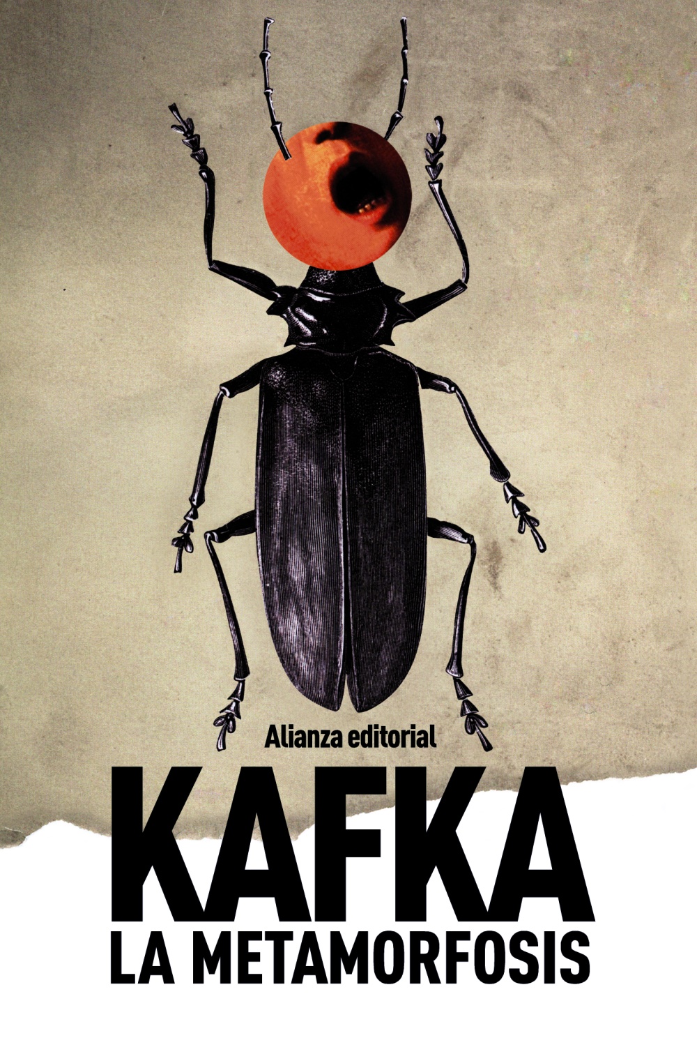 Resultado de imagen de la metamorfosis Franz Kafka