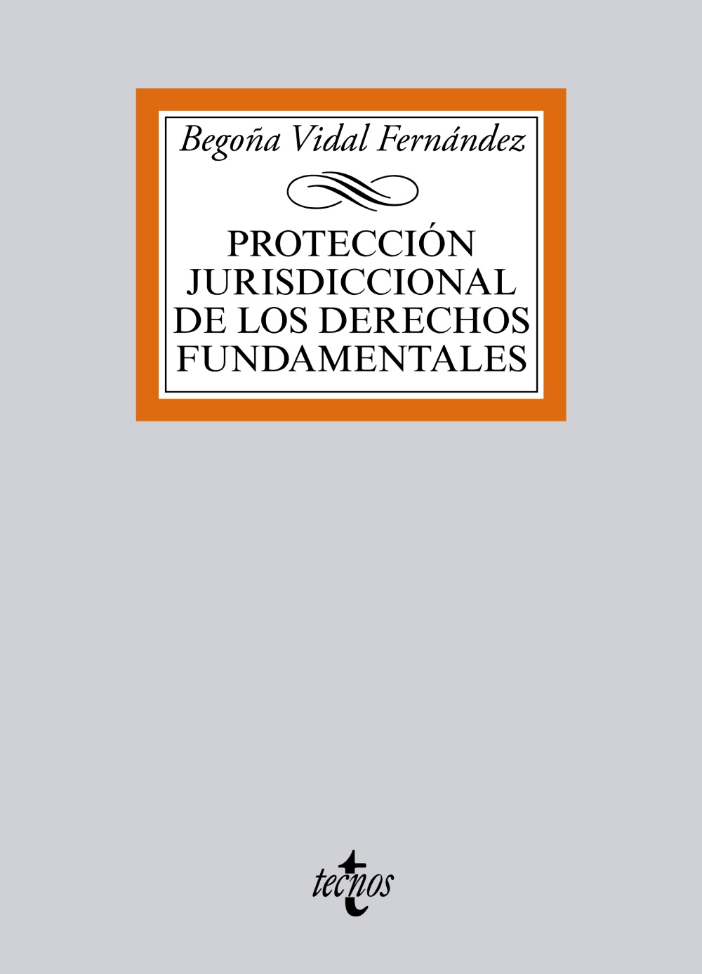 Proteccion Jurisdiccional De Los Derechos Fundamentales por Begoña Vidal Fernandez