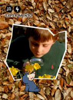 experimento 4 anys belluguets ed 2010 catala infantil-9788421841211 experimento 4 anys belluguets ed 2010 catala infantil-9788421841211