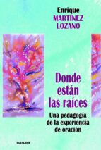 donde están las raíces (ebook)-enrique martinez lozano-9788427718531 donde están las raíces (ebook)-enrique martinez lozano-9788427718531