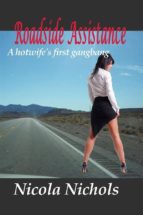 roadside assistance (ebook)-9781370611041 roadside assistance (ebook)-9781370611041