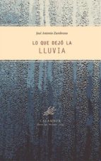 lo que dejó la lluvia (ebook)-9788483593141 lo que dejó la lluvia (ebook)-9788483593141
