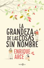 la grandeza de las cosas sin nombre (ebook)-enrique arce-9788491643951 la grandeza de las cosas sin nombre (ebook)-enrique arce-9788491643951
