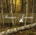 BOSQUES DE ENCANTO-1946668-otro-formato