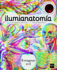 ilumianatomía-kate davies-9788467594201 ilumianatomía-kate davies-9788467594201
