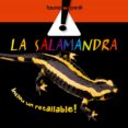 la salamandra-elisenda queralt-9788498254501 la salamandra-elisenda queralt-9788498254501