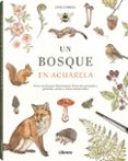 Un bosque en acuarela-18411073-otro-formato