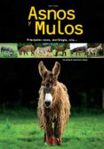 Asnos y mulos-10048725-otro-formato
