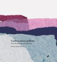 EXPLORACIONES GRÁFICAS-17787435-otro-formato