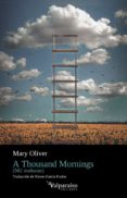 A Thousand Mornings: Mil mañanas-12812703-otro-formato
