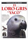el loro gris el loro gris