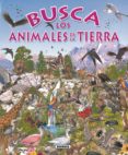 busca los animales de la tierra-9788430531721 busca los animales de la tierra-9788430531721