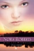 ahora y siempre-nora roberts-9788467161021 ahora y siempre-nora roberts-9788467161021