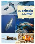 els animals de la mar-alexia romatif-9788416844531 els animals de la mar-alexia romatif-9788416844531