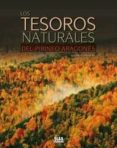 los tesoros del pirineo aragones-eduardo viñuelas cobos-9788482166131 los tesoros del pirineo aragones-eduardo viñuelas cobos-9788482166131