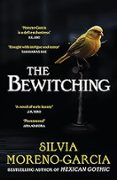 THE BEWITCHING-17905493-otro-formato